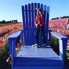 Flowers by valerie is a family owned business. Super Bloom At The Flower Fields In Carlsbad