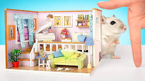 We did not find results for: Hamster Angriff Im Mini Musikzimmer Youtube