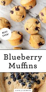 Blueberry Muffins Recipe Love And Lemons Recipe Muffin Recipes Blueberry Blue Berry Muffins Blueberry Muffin Recipe Healthy