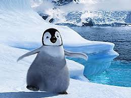 Penguenler Video Imparator Penguen Cok Sirin Hayvanlar Penguen