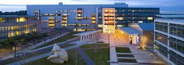 With 11 years of drug detox and rehab experience in san diego, la jolla recovery is a substance abuse and alcohol addiction treatment program. University Of California San Diego Rankings Tuition Acceptance Rate Etc