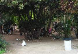 Maybe you would like to learn more about one of these? Hmerida Gia Ta Narkwtika Sto Pedion Toy Arews H Piatsa Efyge To Problhma Ly8hke In Gr