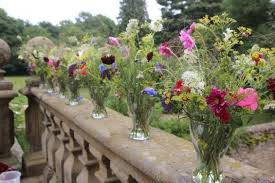 Claretti Und Die Blumen Im August Mit Bildern August Blumen Blumen Fur Garten Blumen August Hochzeit