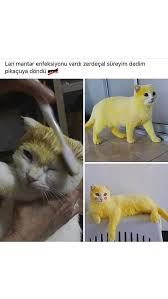 Komik Panosundaki Pin