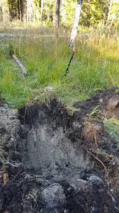 Image result for site:byggahus.se dika