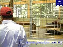 Hidupan liar ialah spesies haiwan liar atau burung liar,sama ada dilindungi sepenuhnya atau yang dilindungi, vertebrata atau invertebrata,hidup atau mati, matang atau tidak matang dan sama ada boleh dijinakkan atau dibiakkan dalam kurungan atau tidak definisi dibawah akta pemuliharaan hidupan. Pusat Santuari Pemulihan Harimau Mampu Galakkan Eco Pelancongan Perak Dsd Dr Zambry Abd Kadi Youtube