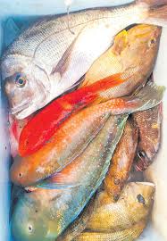 The tide times can also be referred to as tide tables, tides, tide predictions or tide charts. Fishing Report And Tide Times Bribie Island Sept 2018 The Bribie Islander