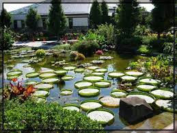 Live Free Of Chemicals By Growing It Yourself Japanese Garden Botanical Gardens Asian Garden
