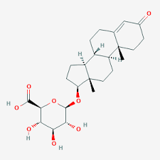 Testosterone propionate png cliparts, all these png images has no background, free & unlimited dietary supplement bodybuilding supplement anabolic steroid testosterone, bodybuilding png. Testosterone Glucuronide C25h36o8 Pubchem