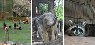 Tempat makan menarik di kemaman. 30 Tempat Menarik Di Kemaman Edisi 2021 Terengganu