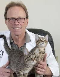 Veterinarian In Gahanna, OH 43230