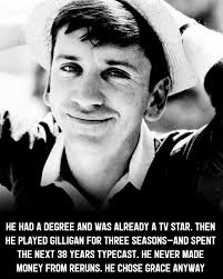 Neighborhood animals gather at new parents' door