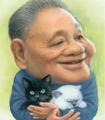 上海白猫（集团）有限公司的前身是创建于1948年的上海永新化学工业股份有限公司，于1959年4月生产出中国第一包合成 洗衣粉 —工农牌合成洗衣粉，是中国合成 洗涤剂 工业的创始人。 ç™½çŒ«é»'çŒ« è®ºå·²æŠŠä¸­å›½å¸¦å…¥ä¸å ªå¢ƒåœ° é˜¿æ³¢ç½—æ–°é—»ç½'