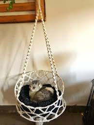Diy Basket For Cat 2020 Hayvan Odasi Kedi Evi Kedi