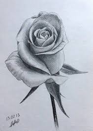 Pin By Jennifer Singer On Coloring Pages Flower Sketches Flower Drawing Roses Drawing