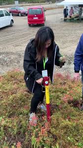 To make a scene of; Aida Greenbury On Twitter My First Tree In The Arctic Circle Bioeconomyforum