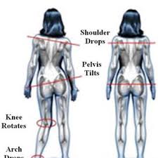 The body's muscular system consists of about 650 muscles that aid in movement, blood flow and other bodily functions. Pdf Computer Aid Assessment Of Muscular Imbalance For Preventing Overuse Injuries In Athletes