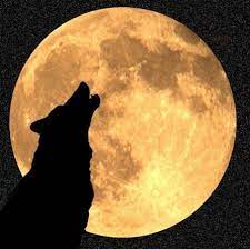 What Is It About A Full Moon That Makes People Do Crazy Things And Commit Crimes Science Questions With Surprising Answers