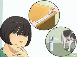 منع القطط من القفز على المناضد Wikihow