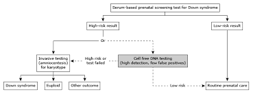 Patient Education Should I Have A Screening Test For Down Syndrome During Pregnancy Beyond The Basics Uptodate