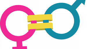 Tolima won 17 direct matches.la equidad won 11 matches.10 matches ended in a draw.on average in direct matches both teams scored a 2.24 goals per match. Momento Clave Hacia La Equidad De Genero Gaceta Del Colegio De Ciencias Y Humanidades