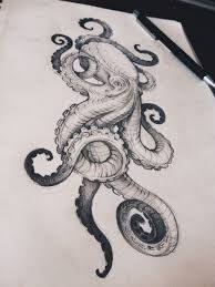 Image Result For Realistic Octopus Drawing Octopus Tattoo Design Octopus Tattoo Tattoo Designs See more ideas about octopus, tentacle, octopus tentacles. octopus tattoo