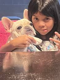 Gertrude's humor and influence