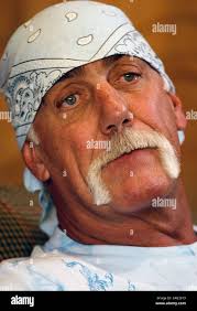 Terry bollea hi-res stock photography and images