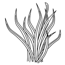 Ocean floor coral reef coloring pages. Ocean Floor Coral Reef Coloring Pages Novocom Top