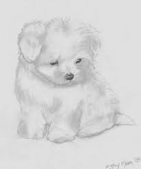 Check spelling or type a new query. Realistic Puppy Sk H Easy Novocom Top