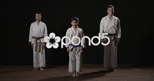 We also performed ni dan as well as examiner qualification exams. Karate Kata Begining Heian Nidan Stock Video Pond5