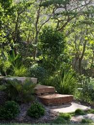 Byron Bay Garden Design Blends With Surrounding Bush Landscape Landscape Design Garden Landscape Design Australian Garden Design