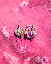 Cactus beach is situated 23 kms from the small town of penong. Lake Macdonnell A Guide To The Best Pink Lake In South Australia
