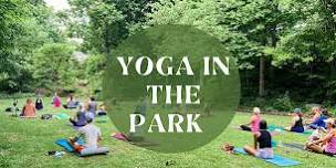 Yoga in the Park