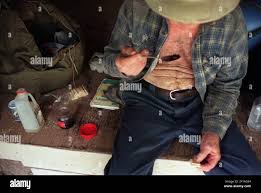 KRT SPORTS STORY SLUGGED: TRAIL KRT PHOTOGRAPH BY MICHAEL  PEREZ/PHILADELPHIA INQUIRER (KRT142-July 13) Earl Shaffer, or Crazy One, 79  years old, take a break from the Appalachian trail in the Bearfence hut,