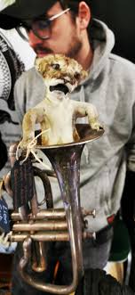 In hindsight I regret not buying this when I saw it at a reptile expo