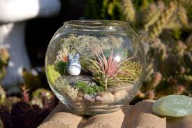 Totoro Bowl Terrarium Totoro In A Bowl Air Plant And Moss Diy Terrarium Air Plant Terrarium Terrarium Terrarium Diy