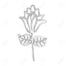 New users enjoy 60% off. Sketch Draw Flower Cartoon Vector Graphic Design Royalty Free Cliparts Vectors And Stock Illustration Image 79943149