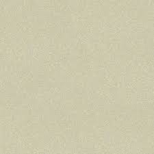 Image result for White Gold Pearl 2004 Pontiac