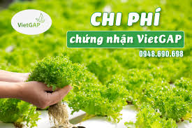 Chi phí chứng nhận VietGAP cho doanh nghiệp ngành Nông nghiệ