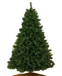 Christmas tree stock photos christmas tree stock illustrations. Buy 8ft Premium Christmas Tree Online 8 Feet Xmas Tree