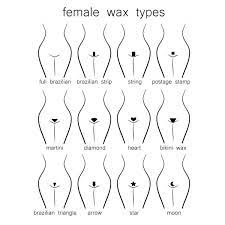 One of says female pubic hair does not grow around the anus, and does not grown between the inner and outer lips. áˆ Brazilian Hair Styles Stock Pictures Royalty Free Brazilian Waxing Vectors Download On Depositphotos
