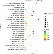 Global Transcriptome Analysis Identifies Differentially