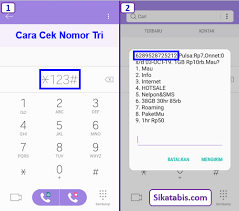 Cara cepat cek no 3 tri sendiri adalah via kode dial *998# (gratis). Cara Cek Nomor 3 Tri Sendiri Tercepat 2019 Gratis Sikatabis Com