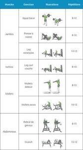 Epingle Sur Musculation Pour Debutant