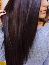 Deep Plum Hair Plum Hair Plum Brown Hair Rich Brown Hair