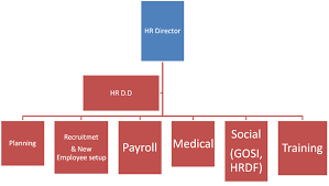 human resources chart