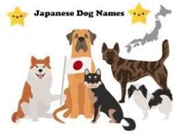 565 japanese baby names with meanings japan, one of the most developed countries in asia, does not just have a long and enchanting history. 435 Anime Names Meaning A Dog In The Fog