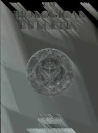 The Biological bulletin