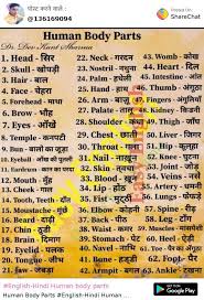 In conclusion, i would like to tell you that if you liked this post about human body's parts name in english and hindi 10, 15, 20, 25, 30, 50, 100 body parts name, then do share it on social media. English Hindi Human Body Parts Images Mr Ak Patel Sharechat à¤­ à¤°à¤¤ à¤• à¤…à¤ªà¤¨ à¤­ à¤°à¤¤ à¤¯ à¤¸ à¤¶à¤² à¤¨ à¤Ÿà¤µà¤° à¤• 100 à¤­ à¤°à¤¤ à¤¯ à¤à¤ª à¤ª